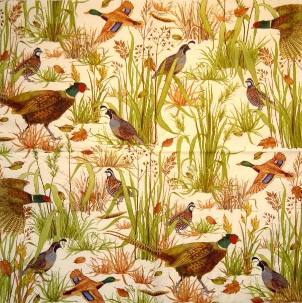 028 Peacock - 3-ply (beige) - Caspari - CS